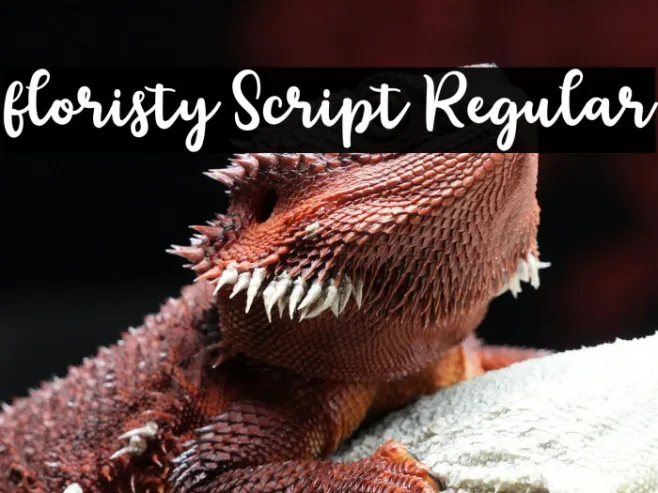 floristy Script Regular Example 1