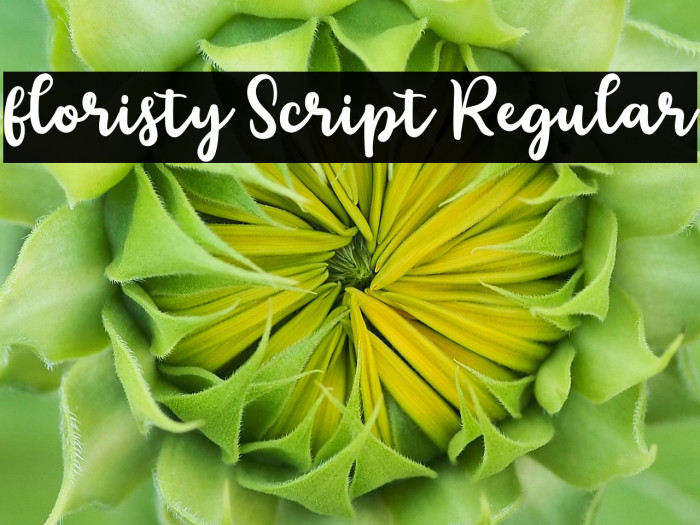 floristy Script Regular Example 3