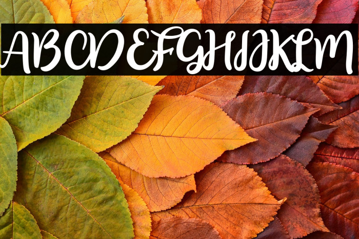 floristyScript-Regular Example 1