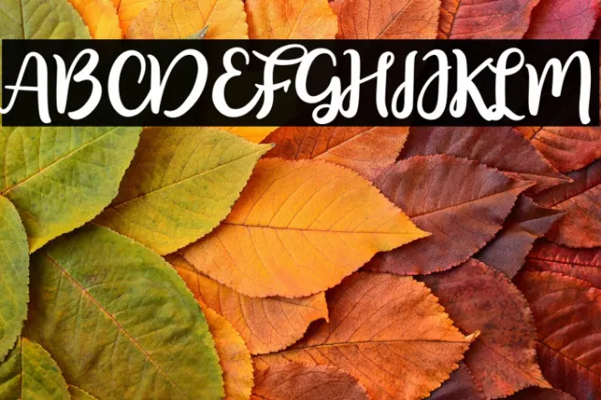floristyScript-Regular Example 1