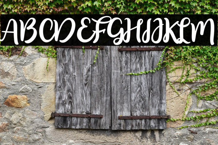 floristyScript-Regular Example 2