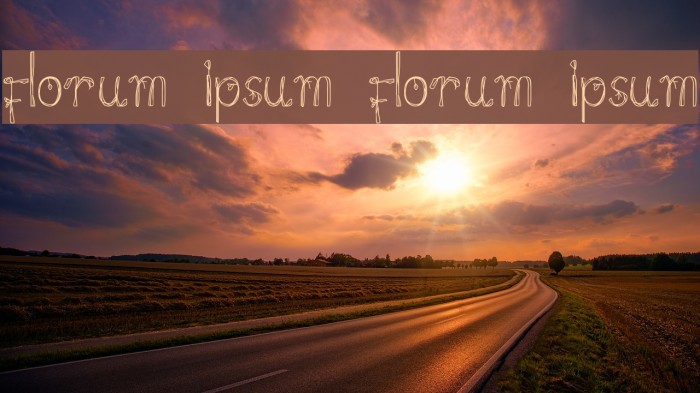 florum ipsum florum ipsum Font examples