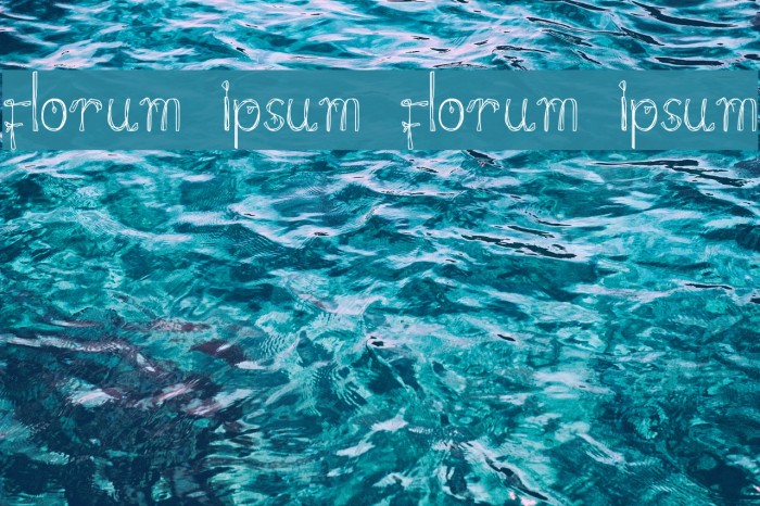 florum ipsum florum ipsum Font examples