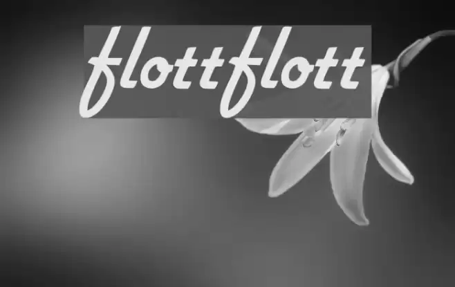 flottflott Font examples
