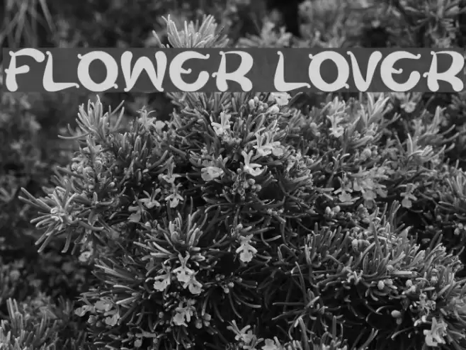 flower lover Font examples