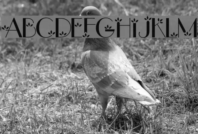 flower1 Font examples