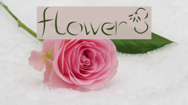 flower3 Example 2