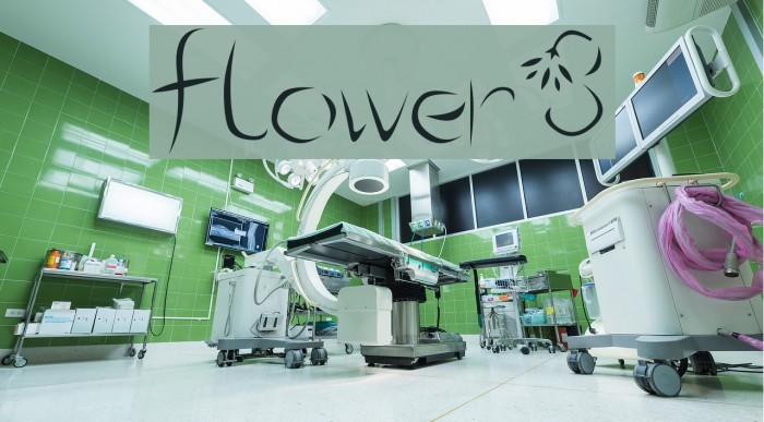 flower3 Font examples