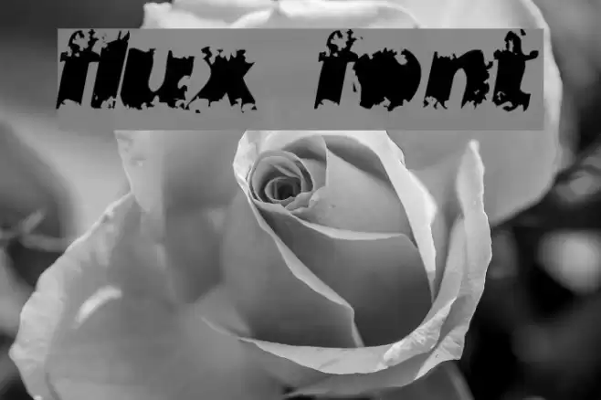 flux Font examples
