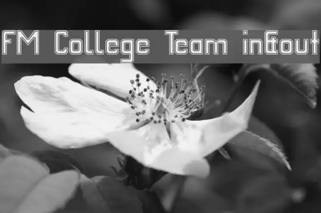 FM College Team in&out Schriftart examples