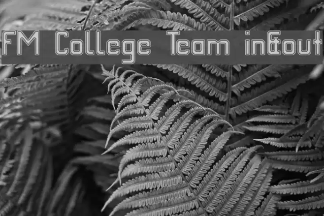 FM College Team in&out Schriftart examples