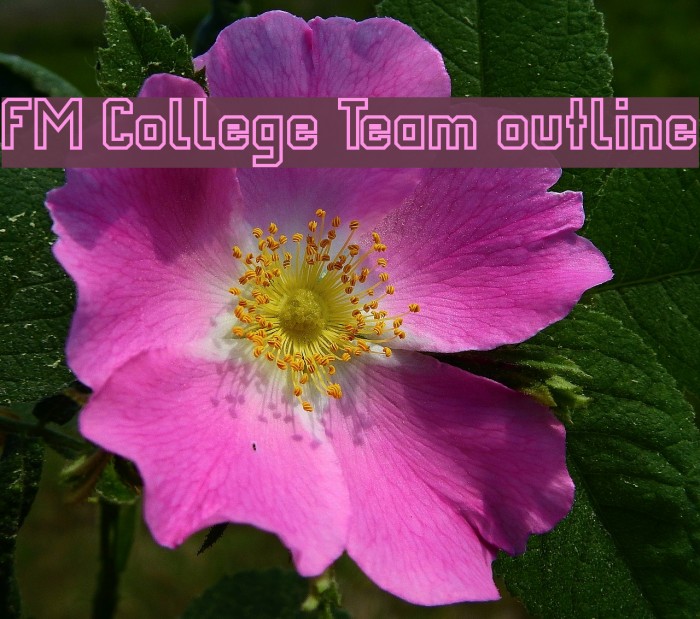 FM College Team outline Font examples