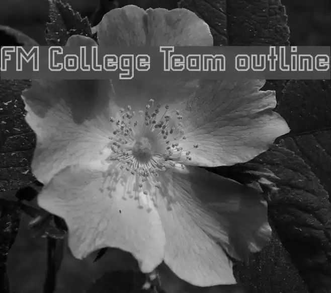 FM College Team outline Fuentes examples