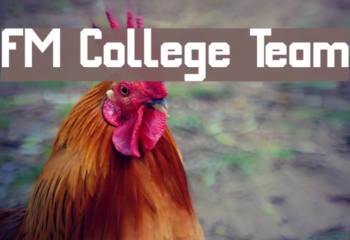 FM College Team Font examples