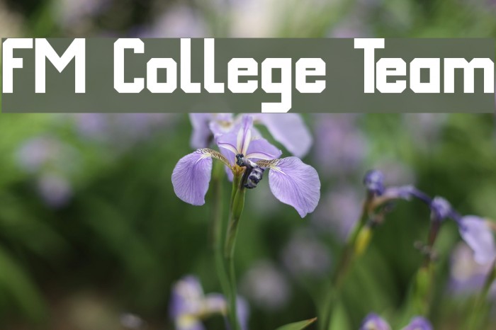 FM College Team Font examples