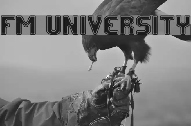 FM University フォント examples