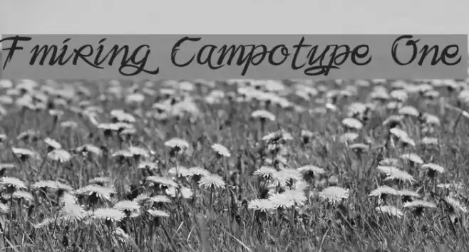 Fmiring Campotype One Font examples