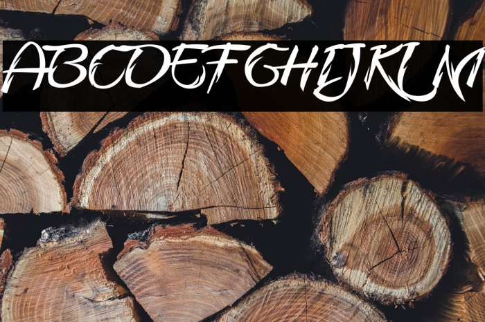 FmiringCampotypeOne Example 2