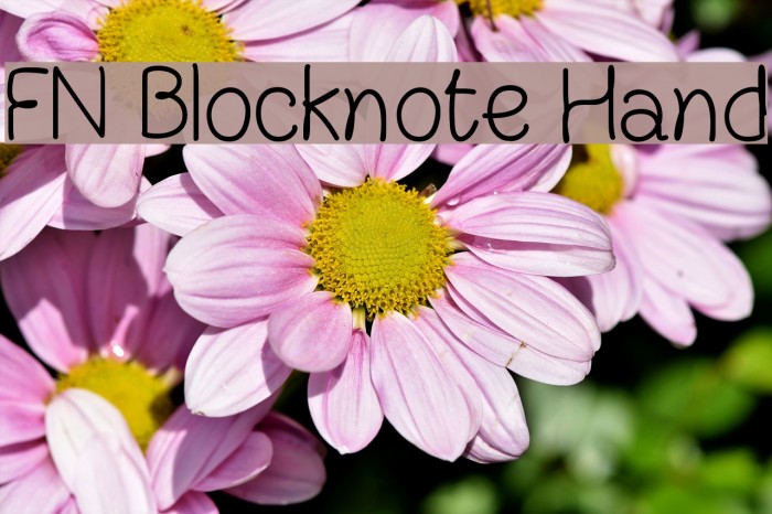 FN Blocknote Hand Font examples