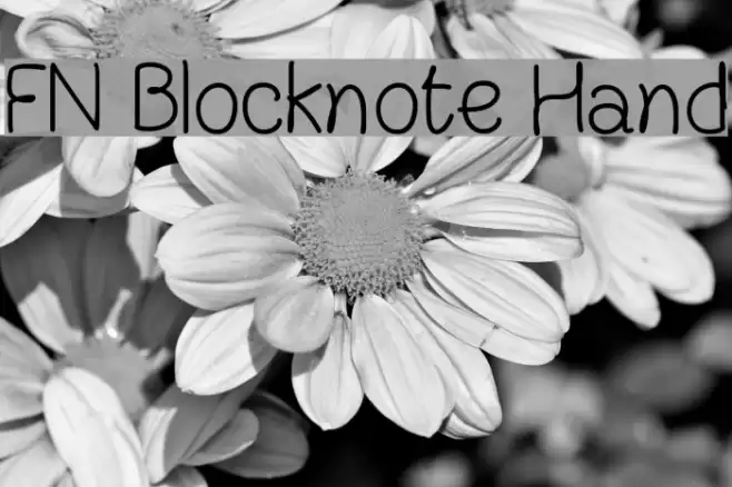 FN Blocknote Hand Font examples