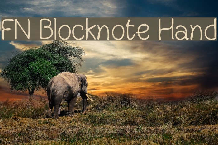 FN Blocknote Hand Font examples
