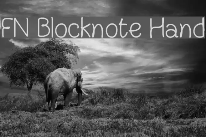 FN Blocknote Hand Font examples