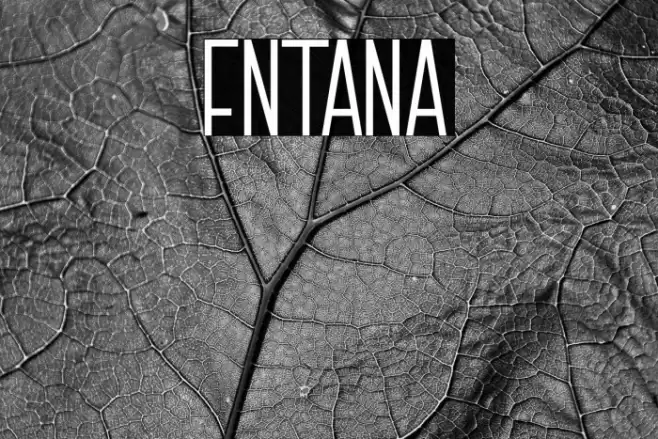 FNTANA Font examples
