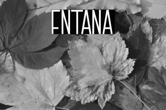 FNTANA Font examples