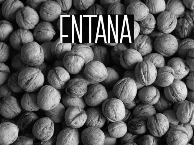 FNTANA Font examples