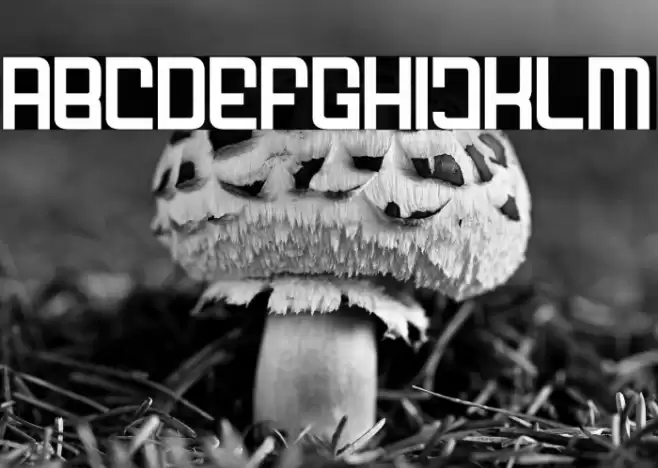 FODECUMBERS DEMI DEMI Font examples