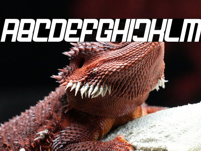 FODECUMBERS DEMI ITALIC Bold Italic Example 1