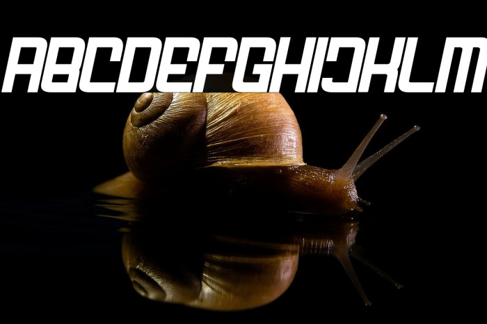 FODECUMBERS DEMI ITALIC Bold Italic Example 3