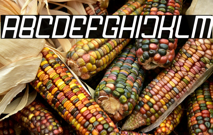 FODECUMBERS LIGHT ITALIC Italic Example 3