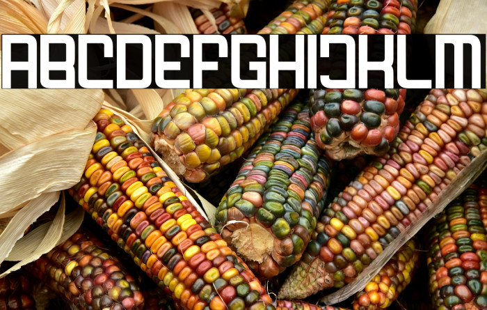 FODECUMBERS REGULAR Example 2