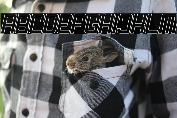 FODECUMBERS THIN ITALIC HOLOW Italic Example 2