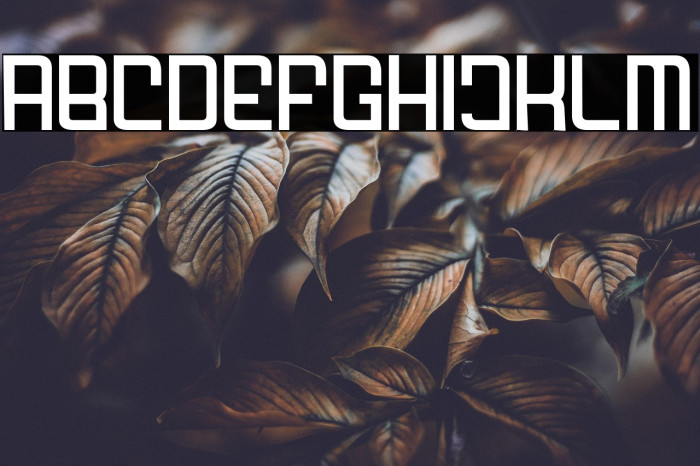 FODECUMBERS THIN Example 1