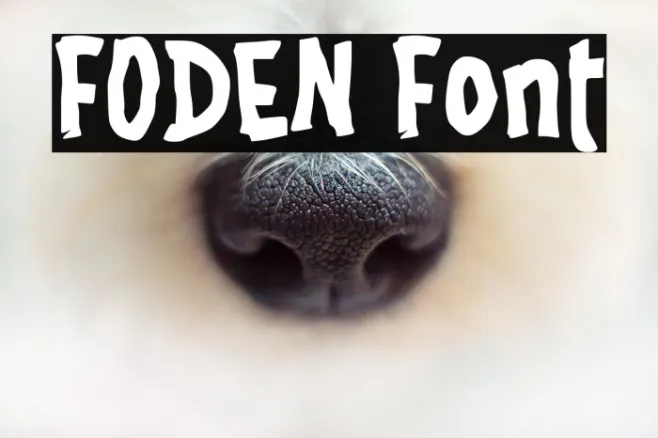 FODEN Example 1