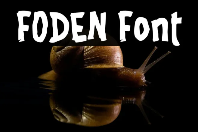 FODEN Example 3