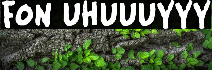 FON UHUUUYYY Example 3