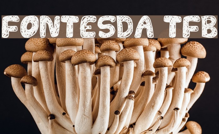 FONTESDA TFB Font examples