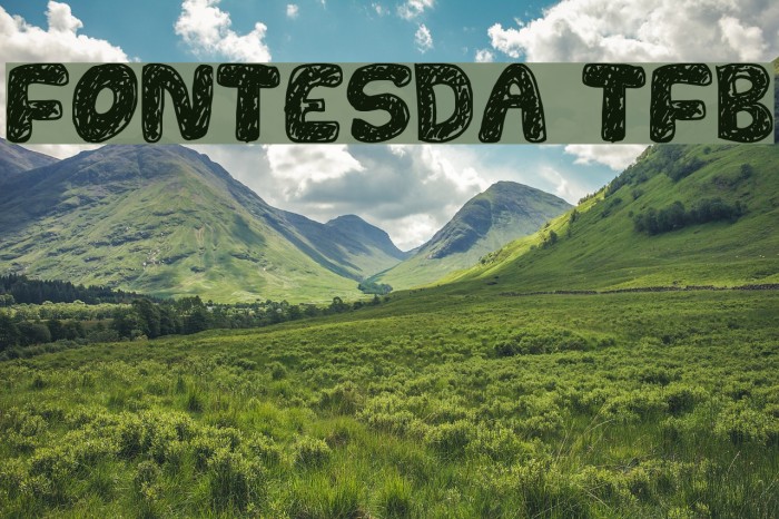 FONTESDA TFB Font examples