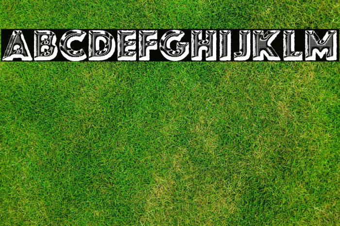 FOODCAN PERSONAL USE Bold Example 1