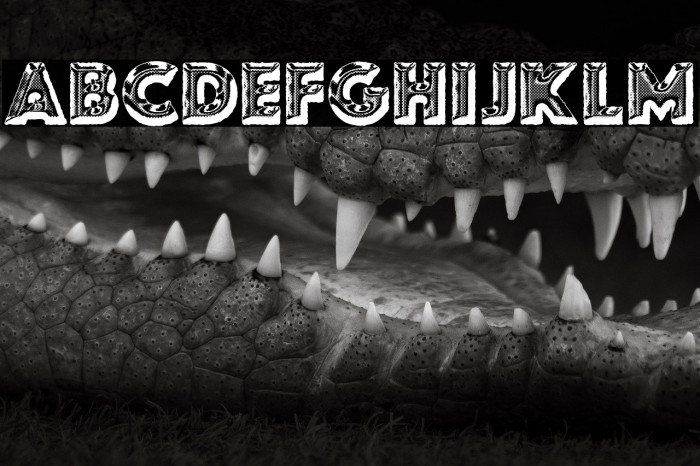 FOODCAN PERSONAL USE Bold Example 2