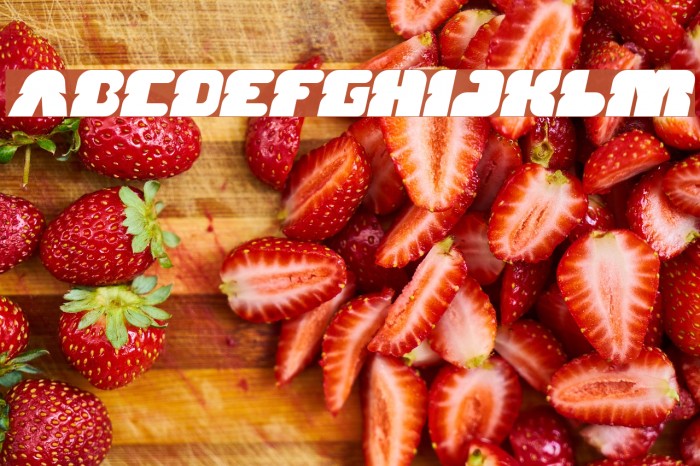 FOREST JUMP Bold Italic Font examples
