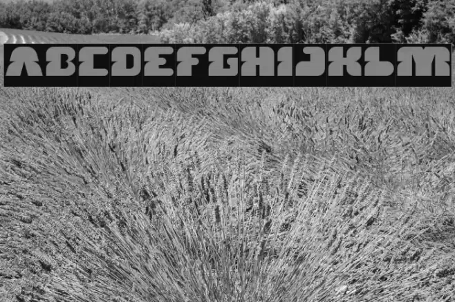 FOREST JUMP-Inverse Font examples