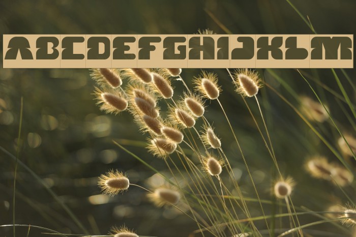 FOREST JUMP-Inverse Font examples