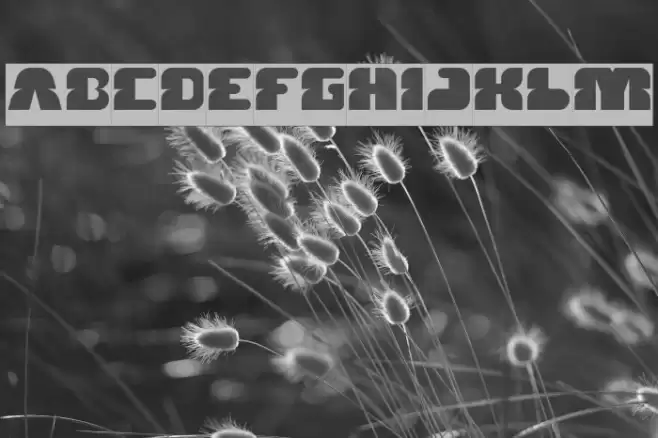 FOREST JUMP-Inverse Font examples