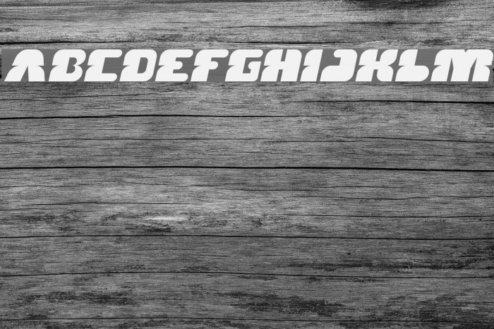 FOREST JUMP Italic Example 2