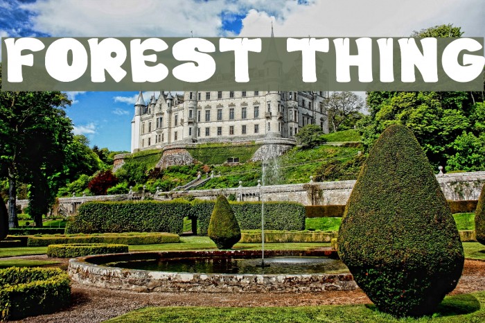 FOREST THING Font examples
