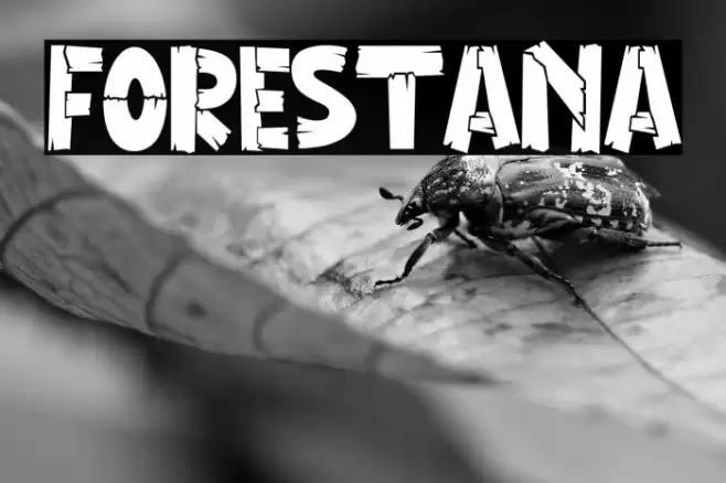 FORESTANA Font examples